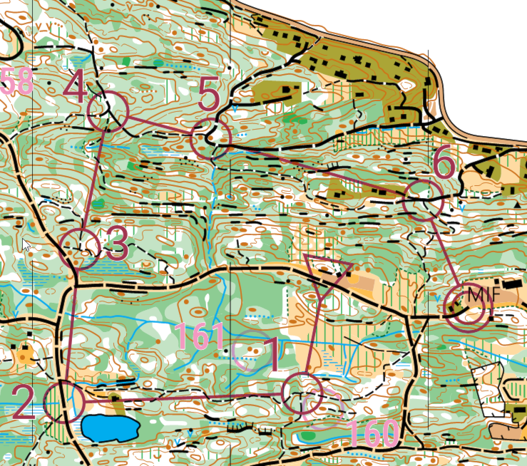 Treningsløp MIF hytta
